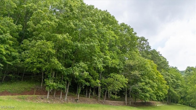 Sandy Run Rd, Elizabeth, WV 26143