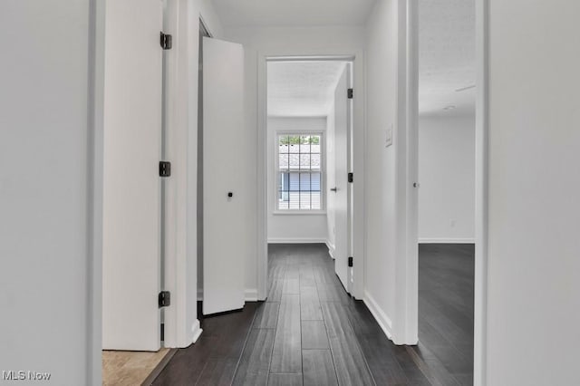 20347 Williamsburg Ct Unit 225B, Middleburg Heights, OH 44130 - hallway featuring dark wood finished floors and baseboards