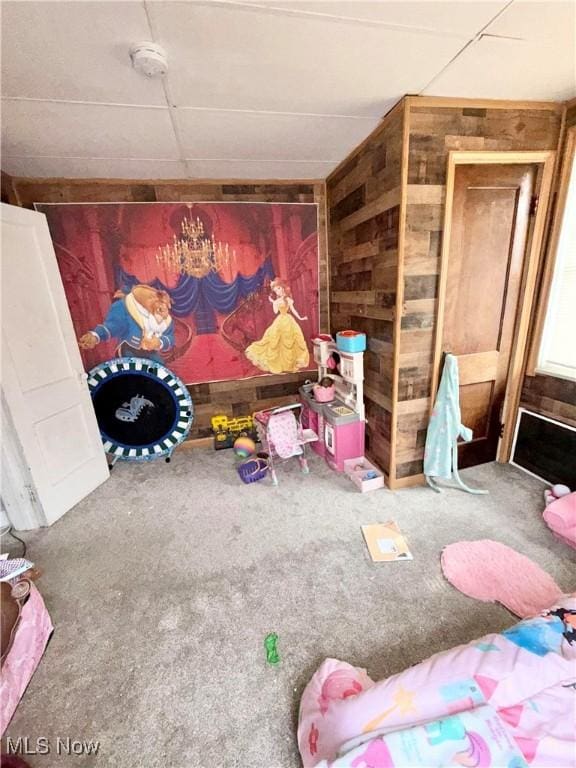 2320 22nd St SW, Akron, OH 44314 - bedroom featuring wooden walls and carpet