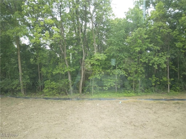 2866 Robert Gary Ct, Medina, OH 44256 - photo 21