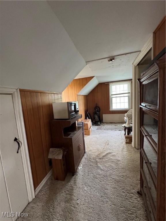 166 Bethesda St, Barnesville, OH 43713 - bonus room featuring wood walls, vaulted ceiling, and carpet flooring