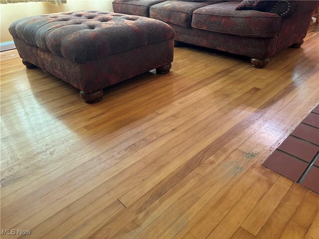 166 Bethesda St, Barnesville, OH 43713 - living area featuring hardwood / wood-style floors