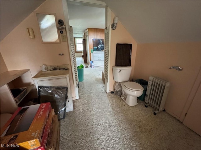 166 Bethesda St, Barnesville, OH 43713 - bathroom featuring radiator heating unit and vaulted ceiling