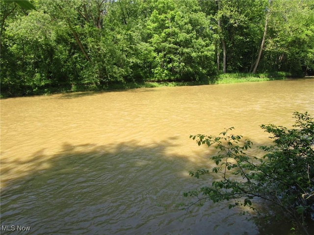 220 Daniels Ave, Conneaut, OH 44030 - view of yard