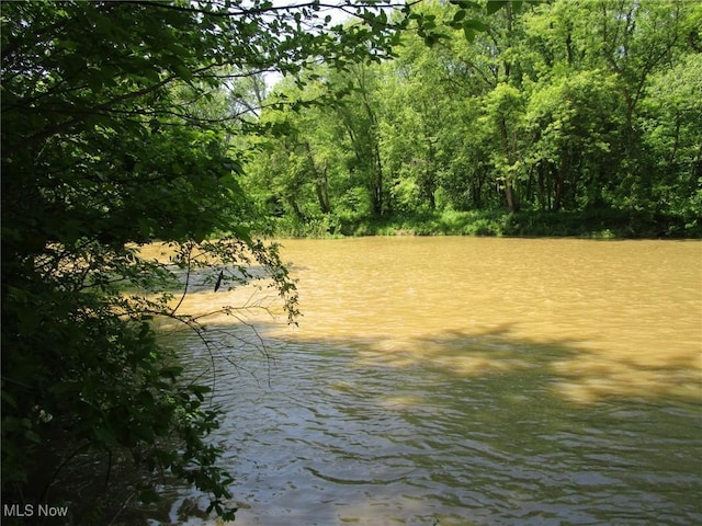220 Daniels Ave, Conneaut, OH 44030 - water view featuring a heavily wooded area