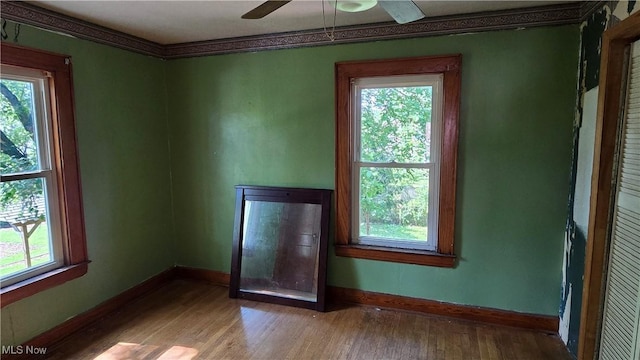 1014 20th St, Parkersburg, WV 26101 - unfurnished room featuring wood finished floors, ceiling fan, and healthy amount of natural light