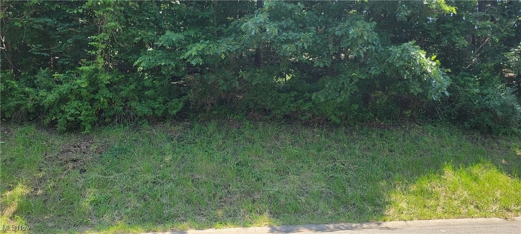 Deer Hill Rd, Dennison, OH 44621 - photo 1