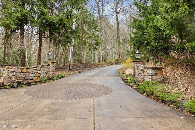 1364 Echo Gln, Gates Mills, OH 44040 - photo 8