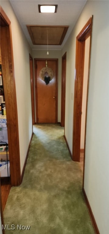 593 Furnace Rd, Conneaut, OH 44030 - corridor featuring attic access and carpet flooring
