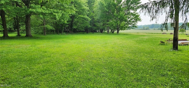 593 Furnace Rd, Conneaut, OH 44030 - view of grassy yard