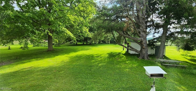 593 Furnace Rd, Conneaut, OH 44030 - view of green lawn