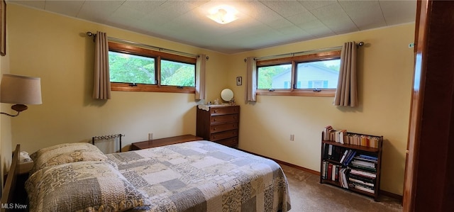 593 Furnace Rd, Conneaut, OH 44030 - bedroom featuring dark carpet