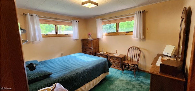 593 Furnace Rd, Conneaut, OH 44030 - carpeted bedroom with multiple windows