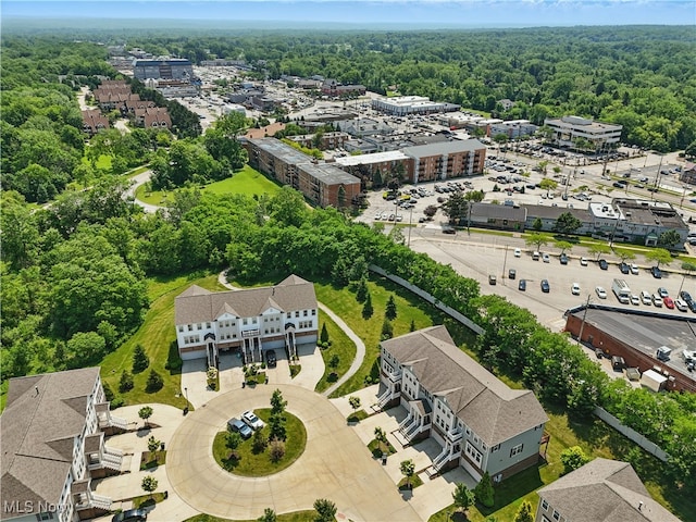 6630 Park Pointe Ct, Pepper Pike, OH 44124 - drone / aerial view of a forest