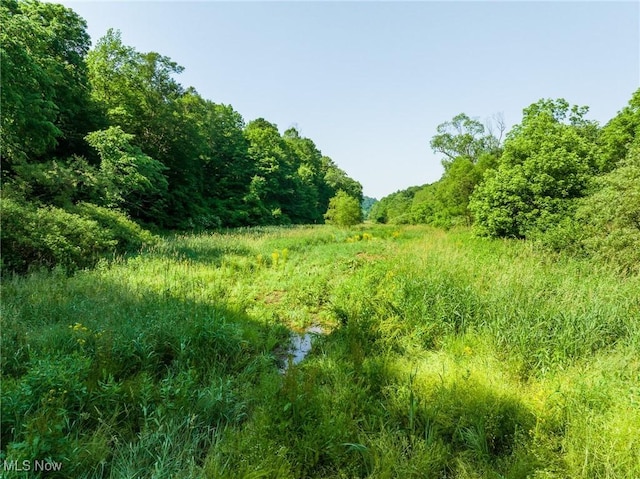Azalea Rd, Dennison, OH 44620