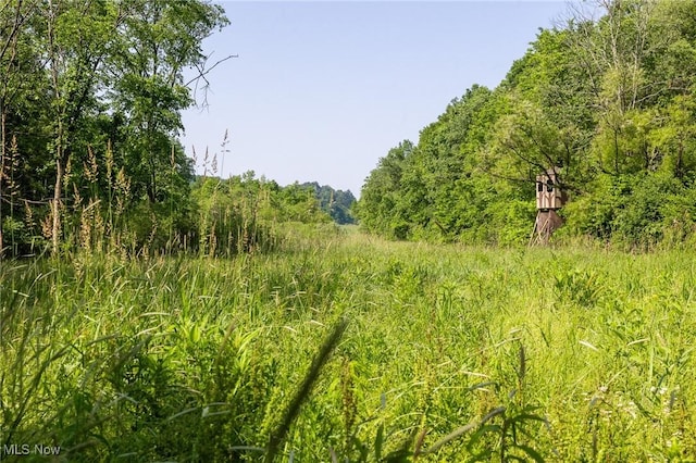 Azalea Rd, Dennison, OH 44620