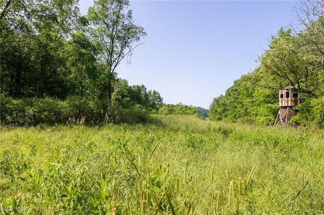 Azalea Rd, Dennison, OH 44620