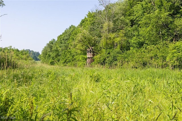 Azalea Rd, Dennison, OH 44620