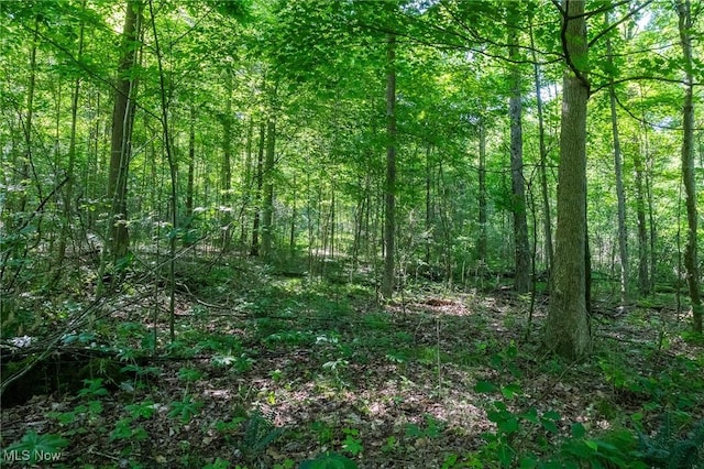 Azalea Rd, Dennison, OH 44620