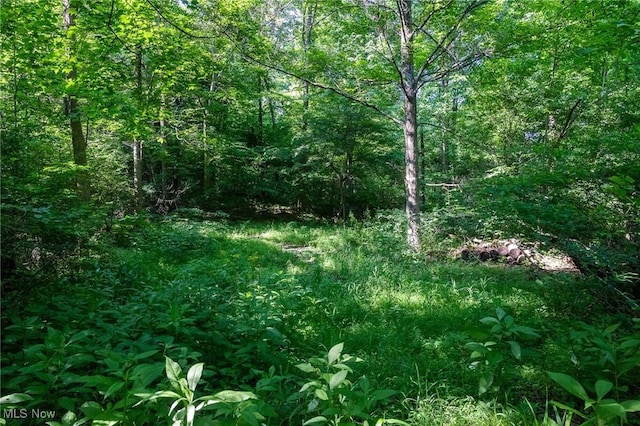 Azalea Rd, Dennison, OH 44620