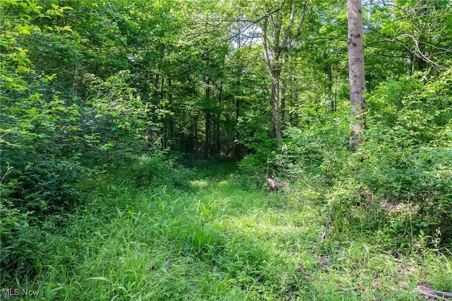 Azalea Rd, Dennison, OH 44620