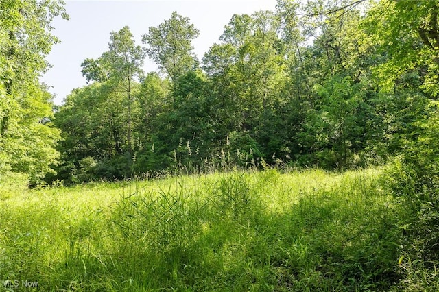 Azalea Rd, Dennison, OH 44620