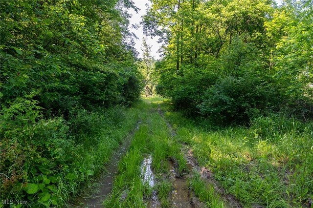Azalea Rd, Dennison, OH 44620