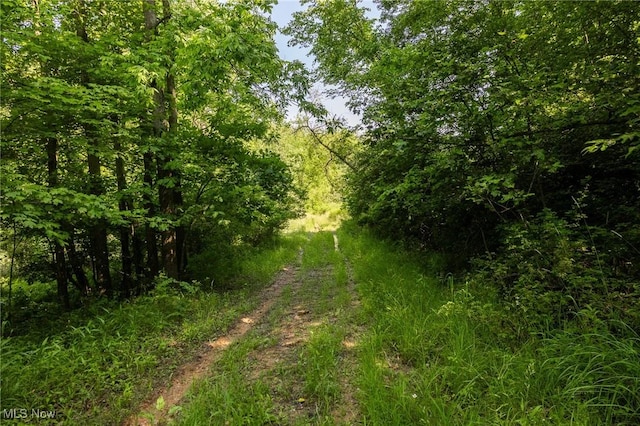 Azalea Rd, Dennison, OH 44620