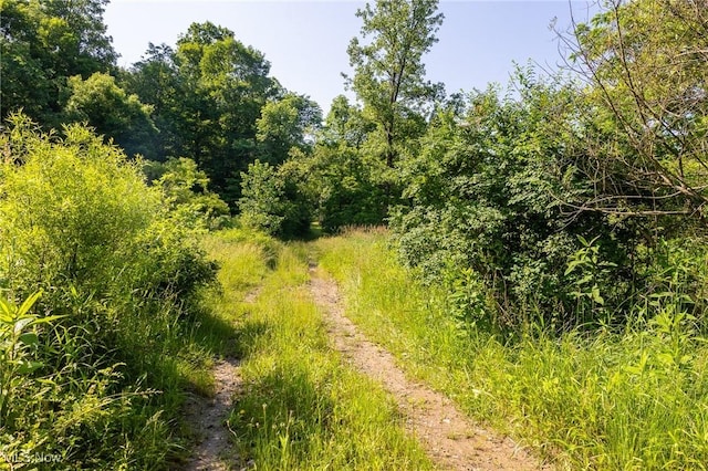 Azalea Rd, Dennison, OH 44620