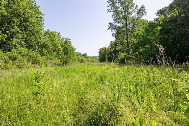 Azalea Rd, Dennison, OH 44620