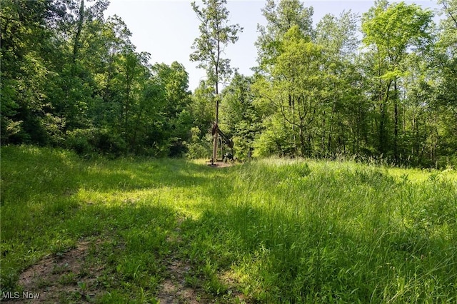 Azalea Rd, Dennison, OH 44620