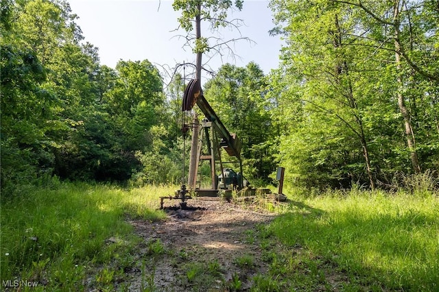 Azalea Rd, Dennison, OH 44620