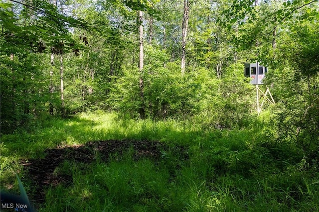 Azalea Rd, Dennison, OH 44620