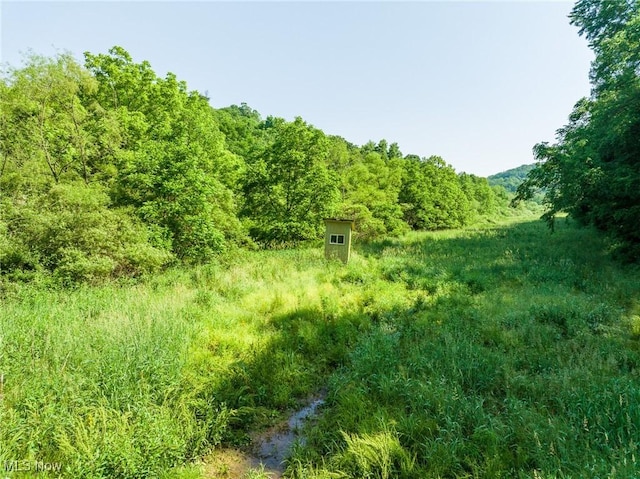 Azalea Rd, Dennison, OH 44620