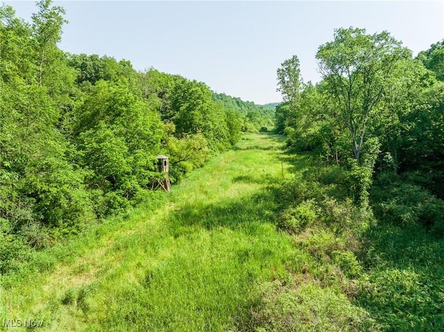 Azalea Rd, Dennison, OH 44620
