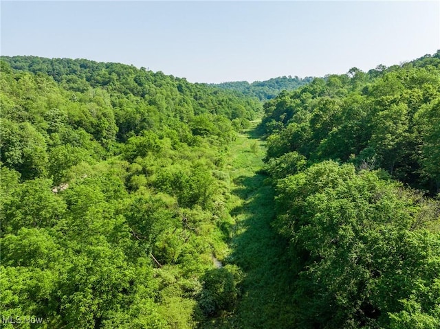 Azalea Rd, Dennison, OH 44620