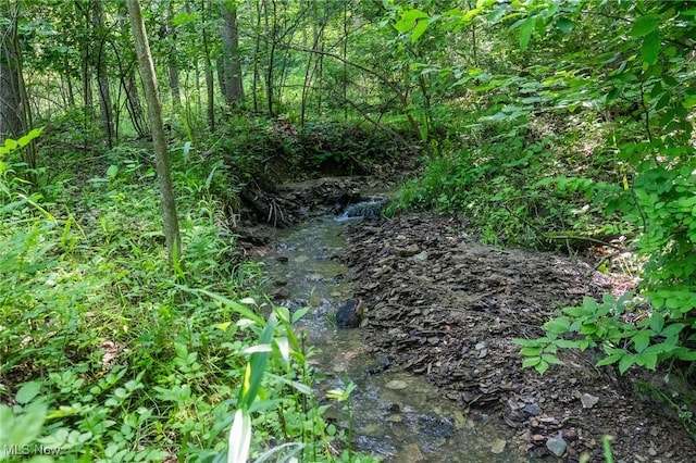 Azalea Rd, Dennison, OH 44620