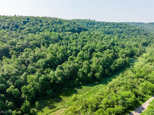 Azalea Rd, Dennison, OH 44620