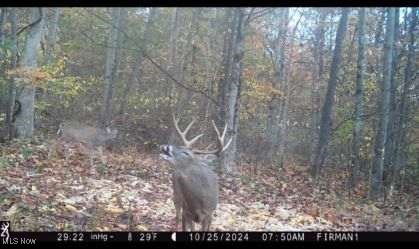 Azalea Rd, Dennison, OH 44620