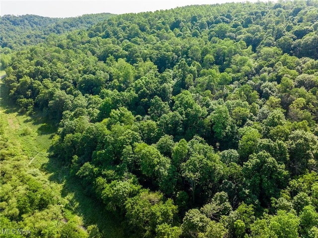 Azalea Rd, Dennison, OH 44620