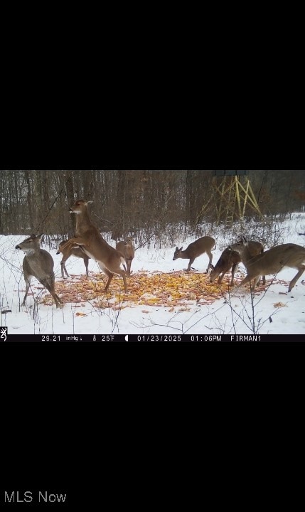 Azalea Rd, Dennison, OH 44620