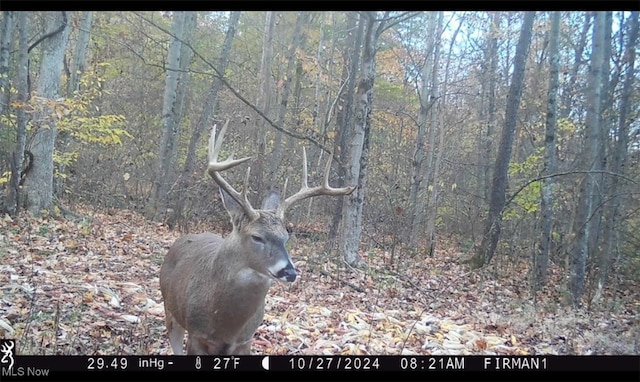 Azalea Rd, Dennison, OH 44620