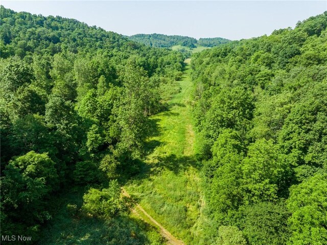 Azalea Rd, Dennison, OH 44620