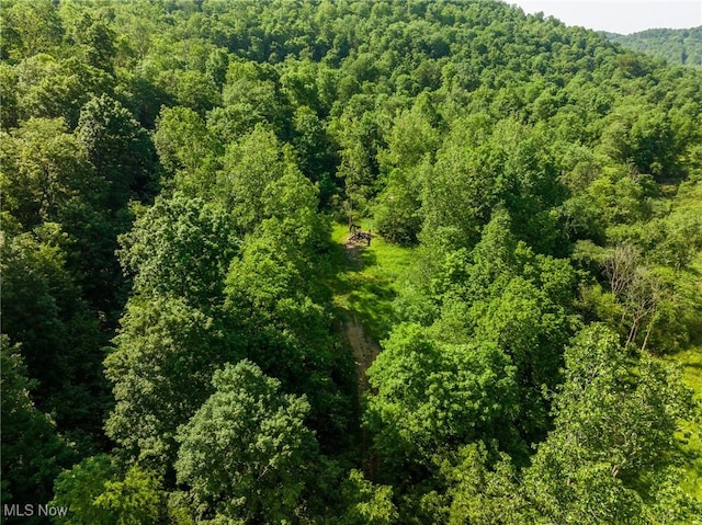 Azalea Rd, Dennison, OH 44620