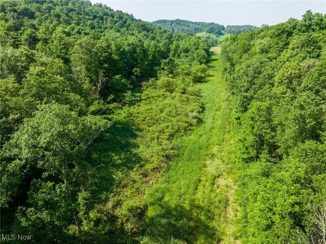 Azalea Rd, Dennison, OH 44620