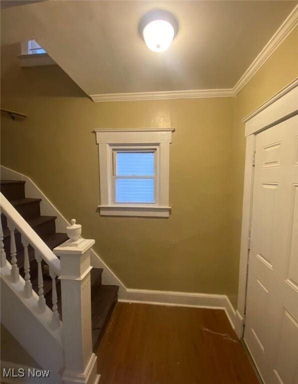 710 Prospect Ave SW, Canton, OH 44706 - photo 3