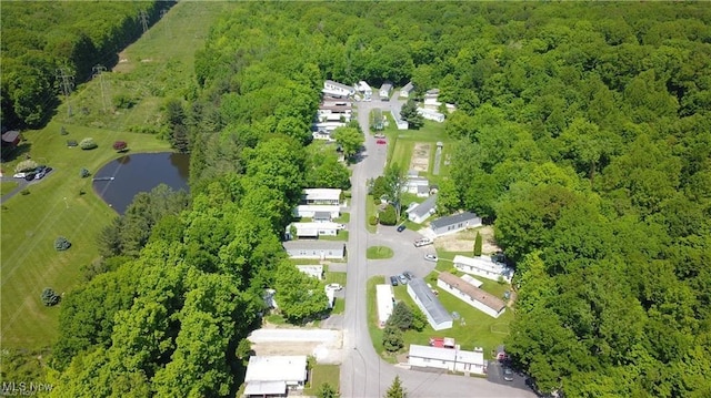 8323 Eagle Rd Unit 22, Kirtland, OH 44094 - bird's eye view of a heavily wooded area and a nearby body of water