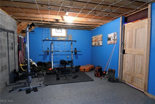 5041 W S Range Rd, Salem, OH 44460 - exercise area with concrete block wall