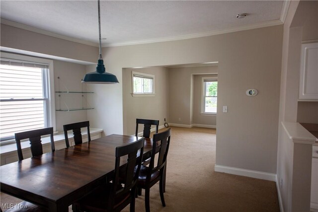 3311 E Fairfax Rd, Cleveland Heights, OH 44118 - photo 13