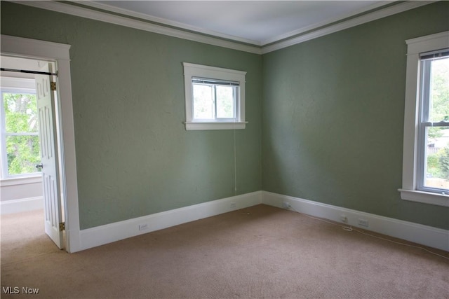 3311 E Fairfax Rd, Cleveland Heights, OH 44118 - photo 16